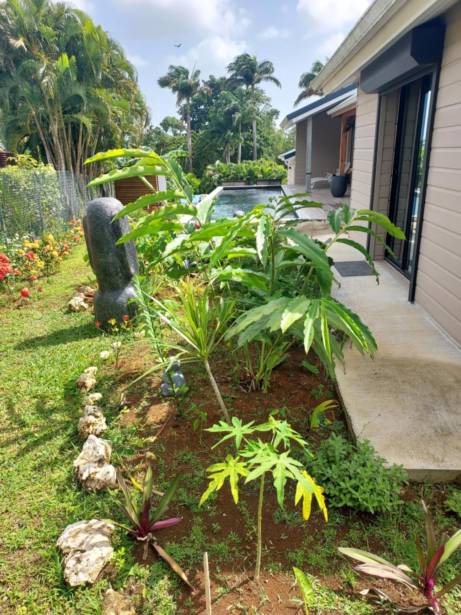 Le Petit Paradis ซานต์-โรส ภายนอก รูปภาพ
