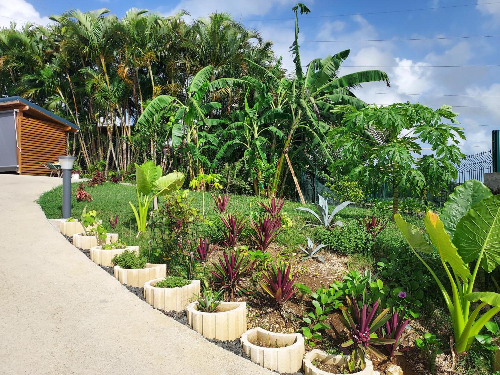 Le Petit Paradis ซานต์-โรส ภายนอก รูปภาพ